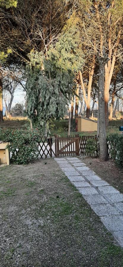 Albachiara Holiday home *